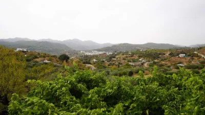 Rustic Finca in Monda photo 16
