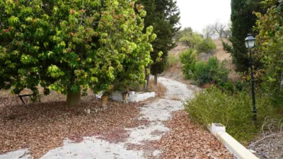 Rustic Finca in Coín photo 24