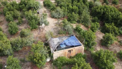 Rustic Finca in Coín photo 33