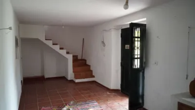 Rustic Finca in Monda photo 7