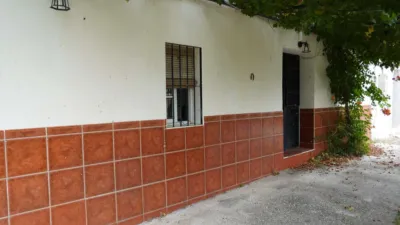 Rustic Finca in Monda photo 5