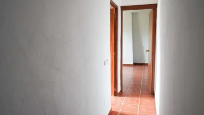 Rustic Finca in Monda photo 10