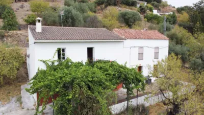 Rustic Finca in Monda photo 2