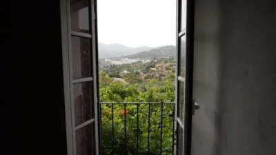 Rustic Finca in Monda photo 15