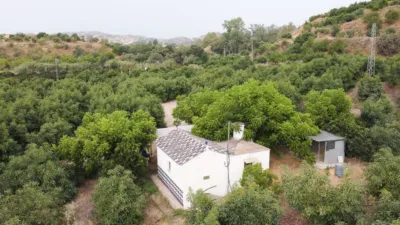 Rustic Finca in Coín photo 36