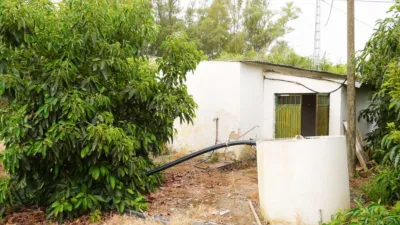 Rustic Finca in Coín photo 31