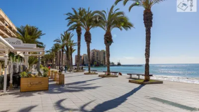 Apartment in Playa del Cura photo 42