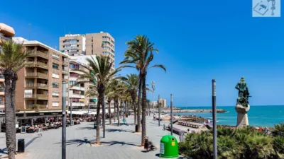 Apartment in Playa del Cura photo 44