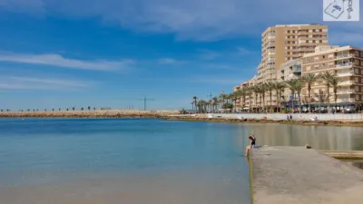 Apartment in Playa del Cura photo 46