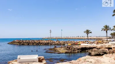 Apartment in Playa del Cura photo 47