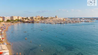 Pis – Torrevieja - Vista 3