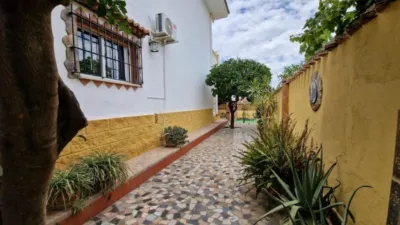 Chalet in Manantiales-Cortijos del Sol-Fuensanguínea photo 41