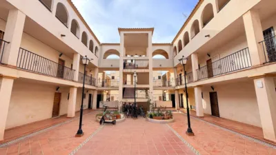 Pis – Orihuela - Vista 2