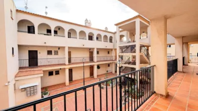 Pis – Orihuela - Vista 3