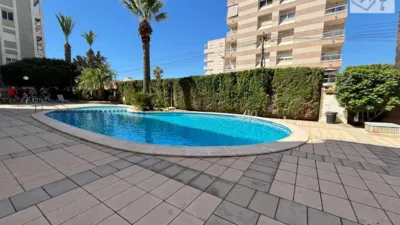 Apartment on Marcelina Street photo 3