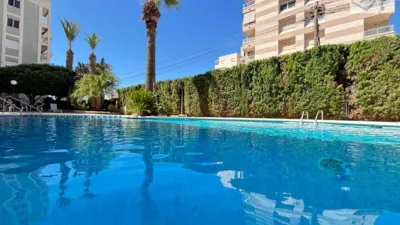 Apartment on Marcelina Street photo 2