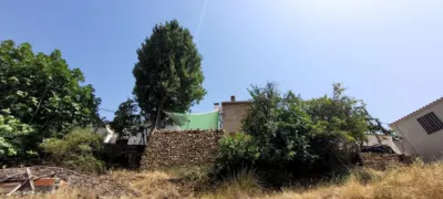 House on Cabeza Gorda Street photo 33