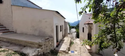 House on Cabeza Gorda Street photo 28