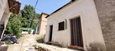 House on Cabeza Gorda Street photo 29