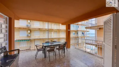 Pis – Torrevieja - Vista 2