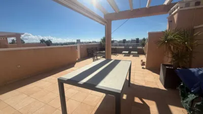 Piso – Orihuela - Vista 3