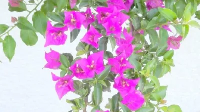 Casa en alquiler en Almayate, Almayate (Vélez-Málaga) de 2.820 €<span>/mes</span>