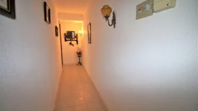House in Los Gallardos photo 38