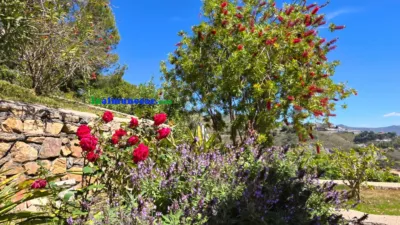Chalet en venta en Calle del Sol, Cotobro (Almuñécar) de 950.000 €
