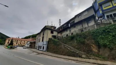 House on Calle Bo Palomar de Abajo photo 18