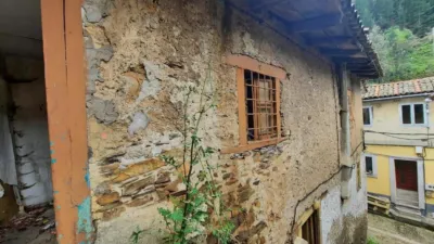 House on Calle Bo Palomar de Abajo photo 14