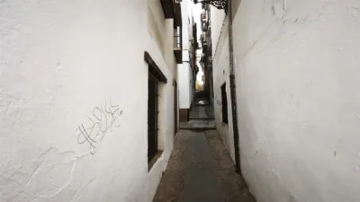 Studio in Calle Molino de la Corteza, San Andrés photo 10