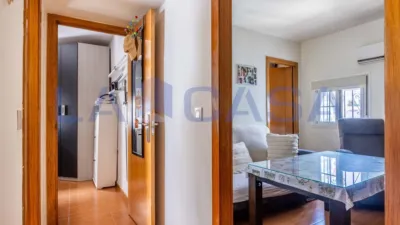 Apartment in La Candelaria photo 21