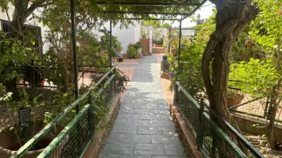 Casa en Carrer de Miquel Ros del Llor photo 25