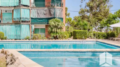 Apartment in Castelldefels photo 28