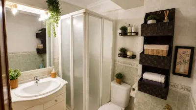 Apartment in San Pablo photo 10