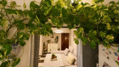 Apartment in San Pablo photo 4