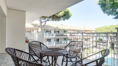Apartment in La Pineda photo 3