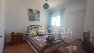 Apartment in Saladillo photo 8