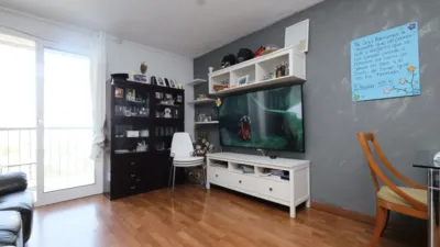 Flat in La Pau photo 3