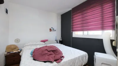 Flat in La Pau photo 5
