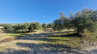 Rustic farm in Pago La Rojana photo 2