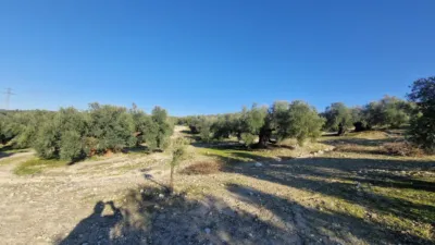 Rustic farm in Pago La Rojana photo 3