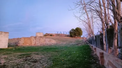 Miniatura 7