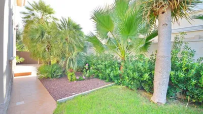 Rustic villa in Cabo Roig photo 11