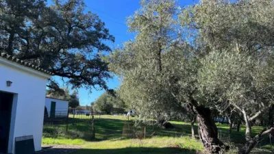 Rustic finca on Carretera El Bosque Ubrique photo 11