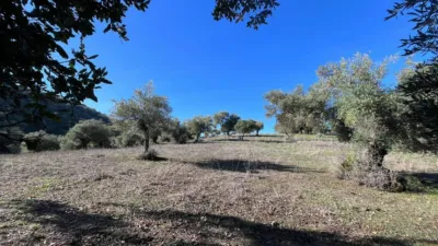 Rustic finca on Carretera El Bosque Ubrique photo 20