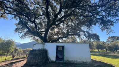 Rustic finca on Carretera El Bosque Ubrique photo 23