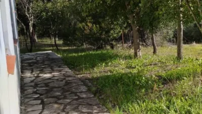 Rustic finca on Carretera El Bosque Ubrique photo 25