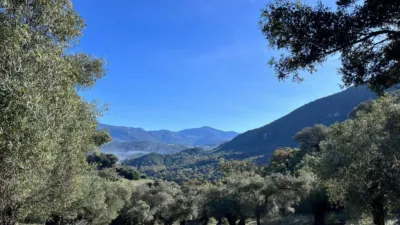 Rustic finca on Carretera El Bosque Ubrique photo 26