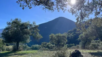 Rustic finca on Carretera El Bosque Ubrique photo 32